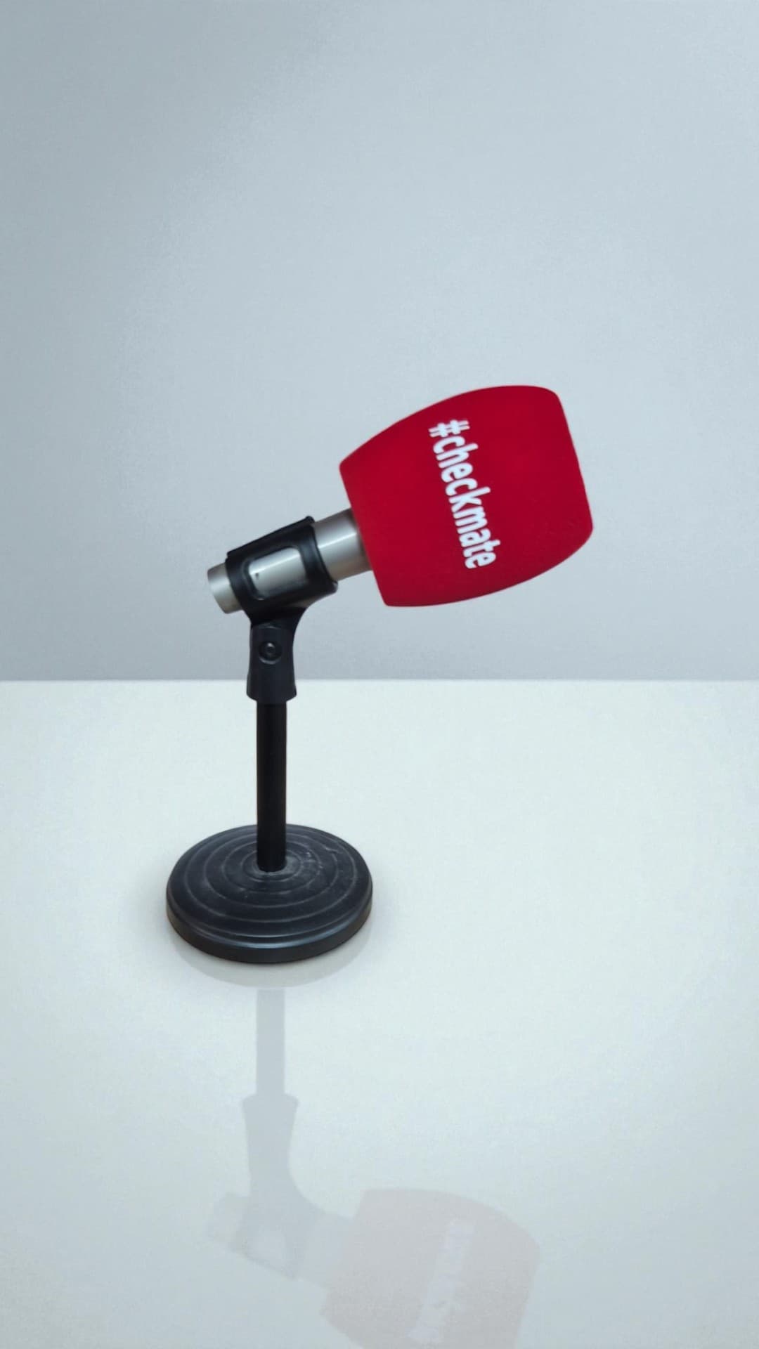 Logolu Mikrofon Süngeri