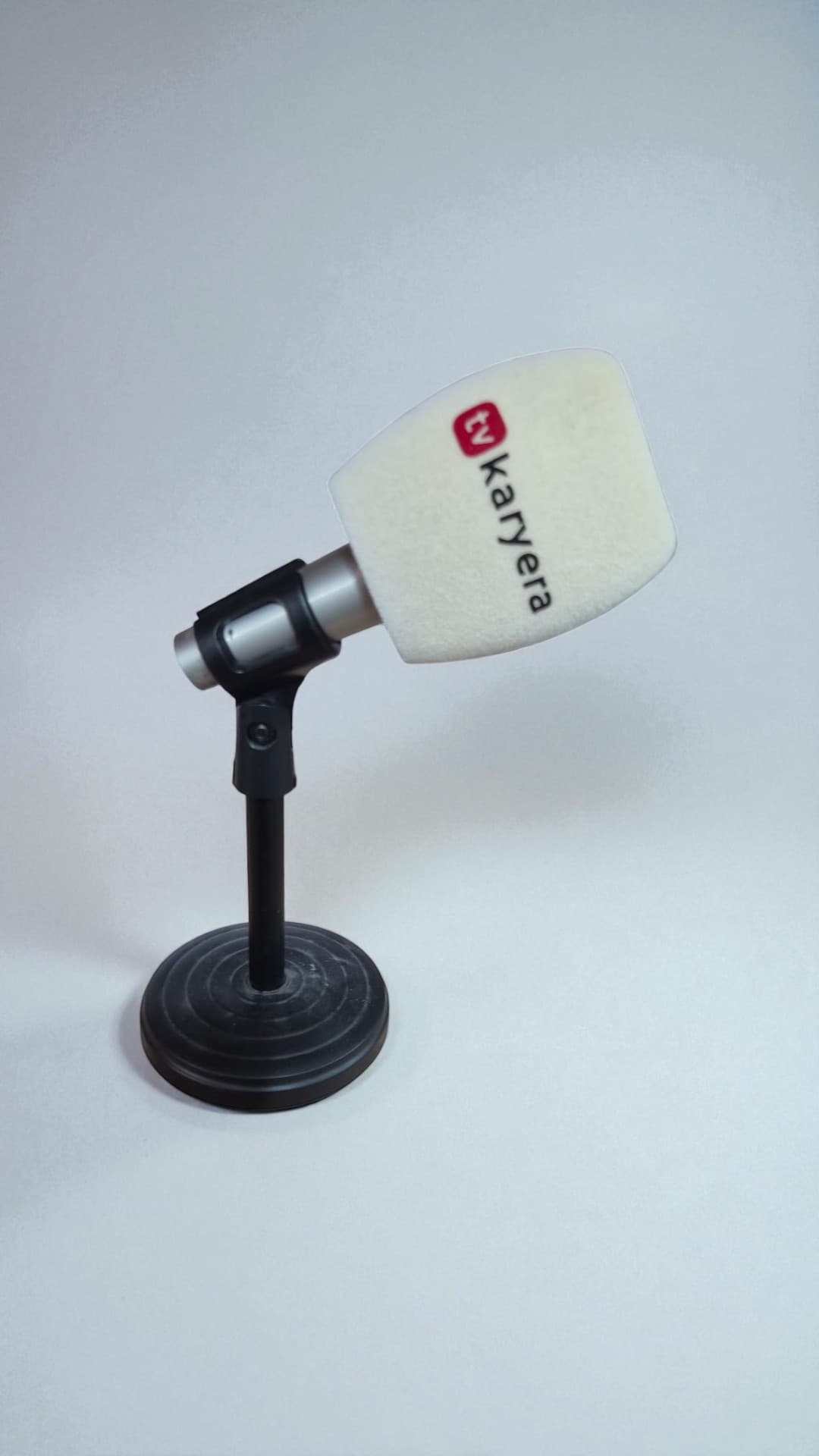 Logolu Mikrofon Süngeri