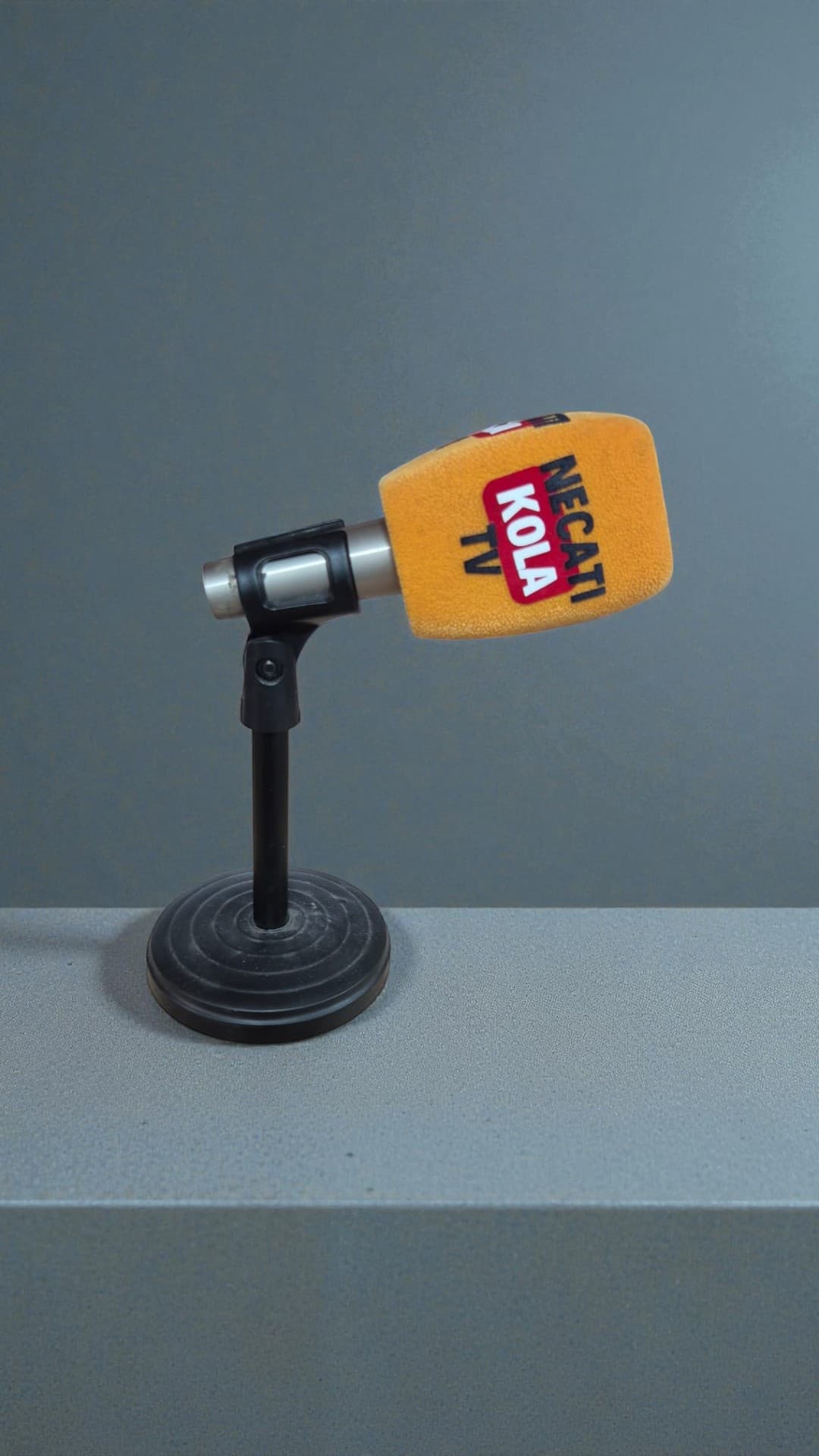 Logolu Mikrofon Süngeri